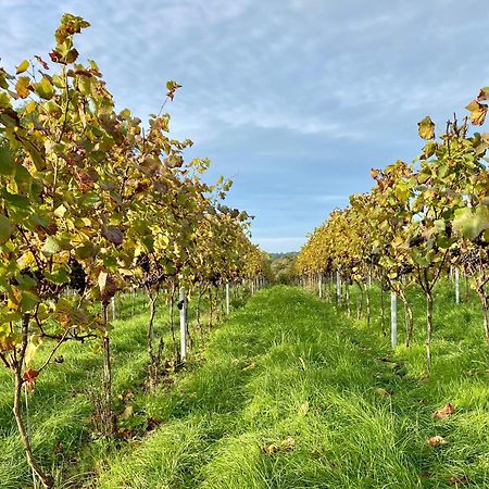 Potts Farm Villa Tenterden Eksteriør bilde